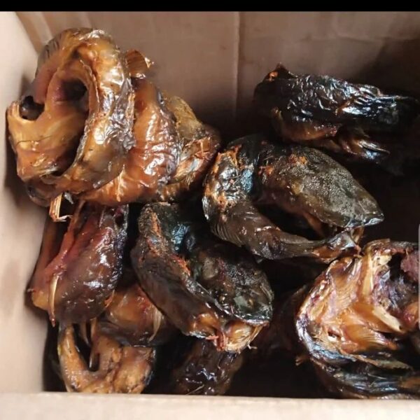Catfish Oven dried Half-Carton